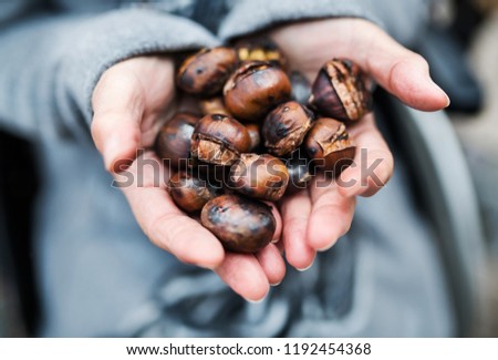 Hands of senior woman holding roasted chestnut outdoors in winter. Royalty-Free Stock Photo #1192454368