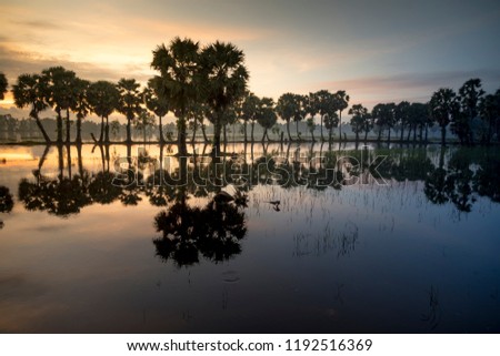 Beautiful landscape of nature with dramatic cloudscape, row of palm trees in silhouette reflect on the surface water of the river at sunrise