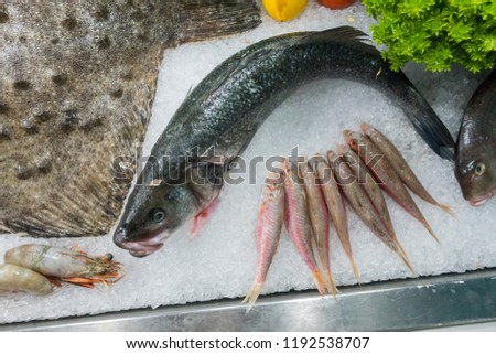 Fresh fish in the sea restaurant