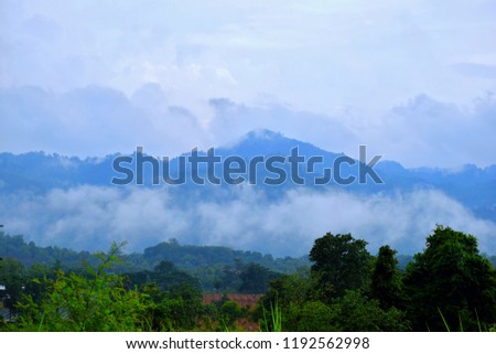 View of the mist after a rain in Khao Yai, Nakhon Ratchasima, Thailand