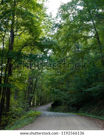 A dirt road through the woods in Warren County in northwest Pennsylvania, USA