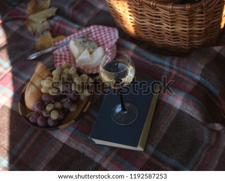 a picnic basket with  wine, cheese, grapes, apples outdoors