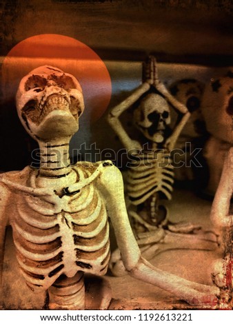Human Skeletons and skulls, Halloween skeletons skulls. Spooky human skeleton. Halloween images.