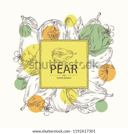 Background with pear: fruit, leaves, flower and pear slice. Vector hand drawn illustration.