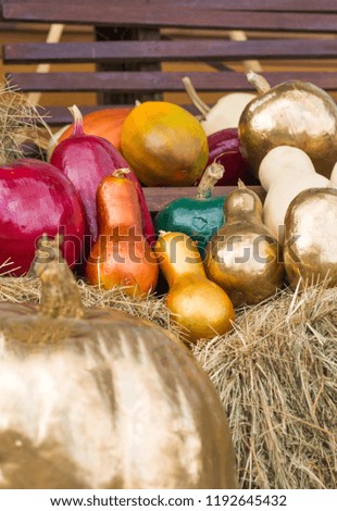 beautiful painted pumpkins of color and gold  on halloween