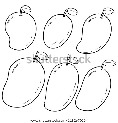 vector set of mango