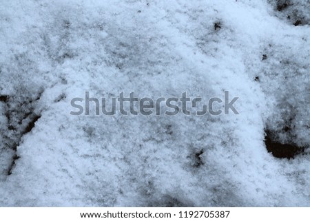 Close up of snow in winter