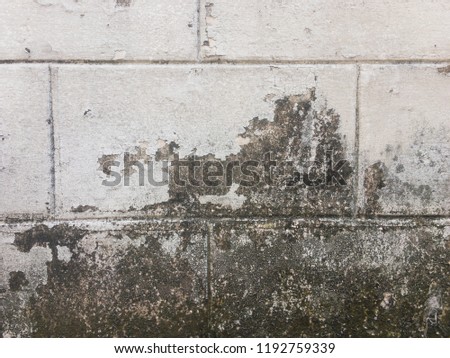 old concrete wall for background. dirty wall