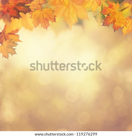 Abstract autumnal backgrounds for your design Royalty-Free Stock Photo #119276299