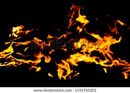Fire tongues of red flame on a black background. Fire flame in the night
