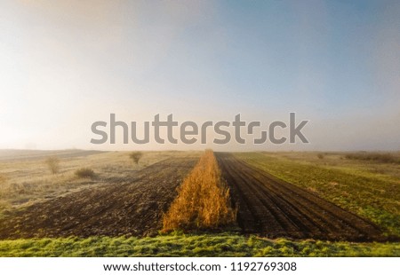 Field during the morning in the autumn season