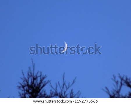 Moon from afar