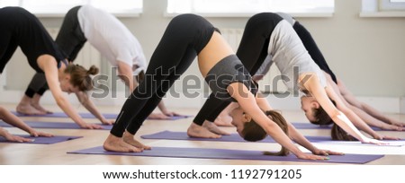 Group of young sporty people practicing yoga lesson, doing Downward facing dog exercise, adho mukha shvanasana pose, friends working out, indoor, students training in club, studio. Well-being concept Royalty-Free Stock Photo #1192791205