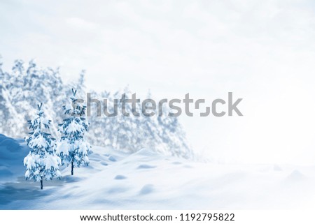 Frozen winter forest with snow covered trees.