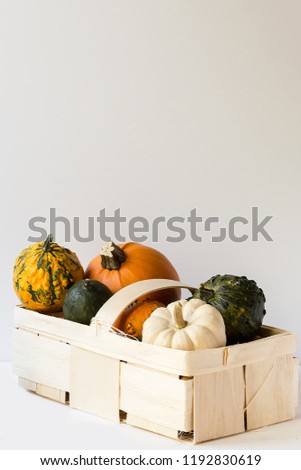 decorative pumpkin, harvesting, vertical, copy space