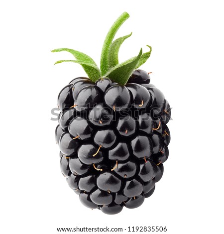 blackberry isolated on white background, clipping path, full depth of field Royalty-Free Stock Photo #1192835506