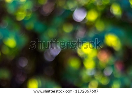 Green bokeh background in a garden, in a sunny day. green bokeh pattern, abstract texture Royalty-Free Stock Photo #1192867687