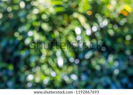 Green bokeh background in a garden, in a sunny day. green bokeh pattern, abstract texture Royalty-Free Stock Photo #1192867693