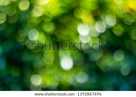 Green bokeh background in a garden, in a sunny day. green bokeh pattern, abstract texture Royalty-Free Stock Photo #1192867696