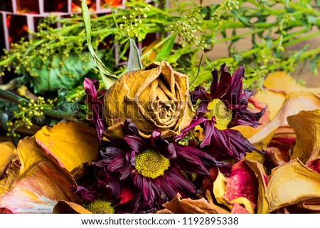 A close up of a beautiful Wilting Fall Colored Bouquet drying  Muted Browns, Oranges and Greens are vivd and emotion evoking.