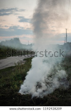 Smoke of a fading fire on the street. For use as a texture
