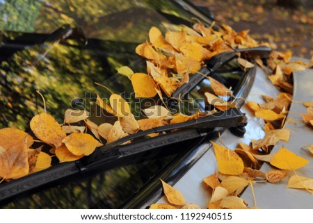 The machine is covered with autumn leaves. Wiper car close-up. 