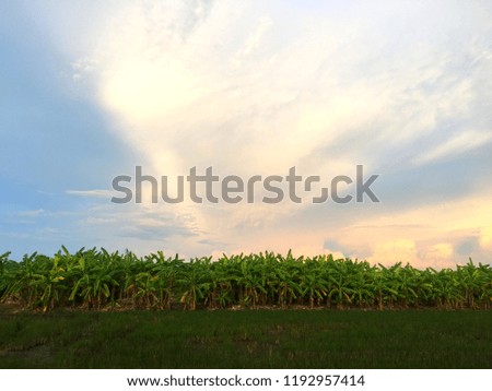 Natural landscape of sunset light above Ground. Bright Dramatic Sky And Dark Ground. Countryside Landscape Under Scenic Colorful Sky.
