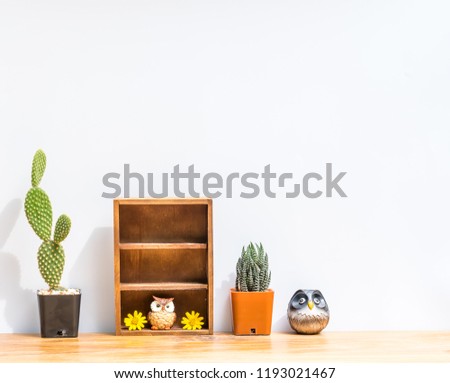 Beautiful  cactus,wooden  shelf  and  simulated   owl   on  wood   table   with   white  background.