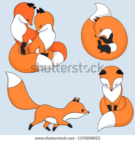 Red fox collection. Cute animal set for prints and posters