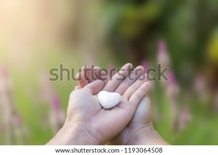 Hand holding a white heart for love or health concept