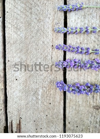 Background image, lavender flowers on the boards
