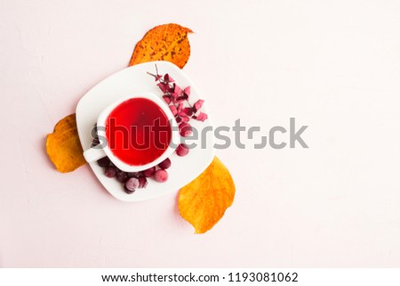 Autumn composition with red healthy cranberry hot drink and dry decoration leaves over pink background, fall cozy home, flat lay style