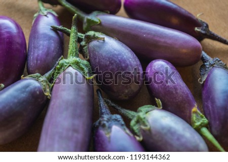 Shiny organic purple eggplants of dwarf heirloom variety Slim Jim from Italy, edible fruits of Aubergine plant grown in the city and harvested on the balcony as a part of urban gardening project Royalty-Free Stock Photo #1193144362