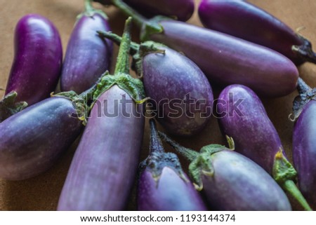 Shiny organic purple eggplants of dwarf heirloom variety Slim Jim from Italy, edible fruits of Aubergine plant grown in the city and harvested on the balcony as a part of urban gardening project Royalty-Free Stock Photo #1193144374