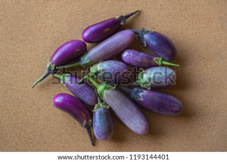 Shiny organic purple eggplants of dwarf heirloom variety Slim Jim from Italy, edible fruits of Aubergine plant grown in the city and harvested on the balcony as a part of urban gardening project Royalty-Free Stock Photo #1193144401