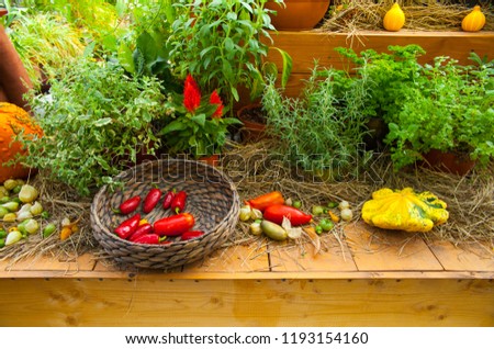 Seasonal farmers market goods display. Colorful gourds for autumn holiday decorations at the agriculture fair. Harvest concept.