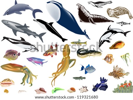 illustration with sea animals isolated on white background