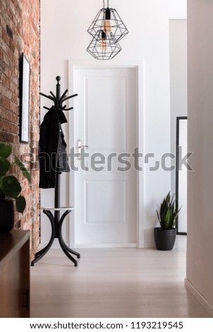 Clothes on rack in white minimal anteroom with lamps and plant next to door. Real photo Royalty-Free Stock Photo #1193219545