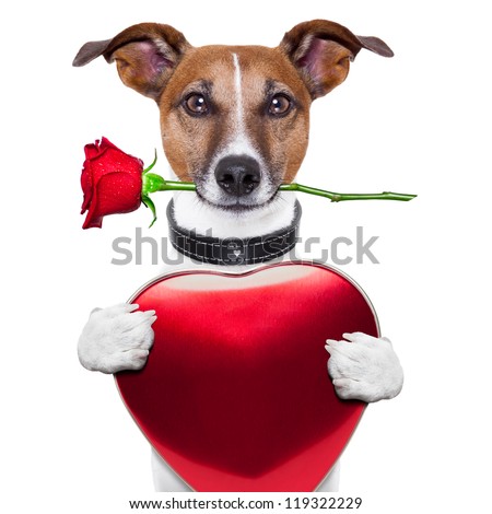 valentine dog with red rose and big red heart