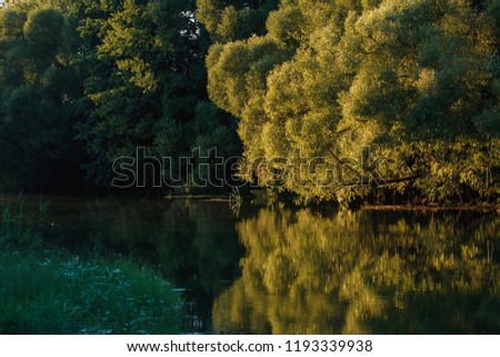 River water surface on the background of of green grass islands against blue sky with clouds at sunny summer day. River landscape
