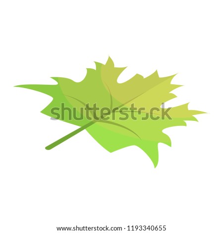 Green maple leaf icon. Isometric of green maple leaf vector icon for web design isolated on white background