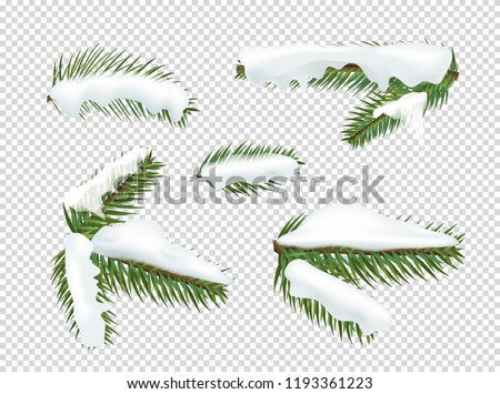 Green pine tree branches with snow vector clipart. Vector objects isolated on transparent background