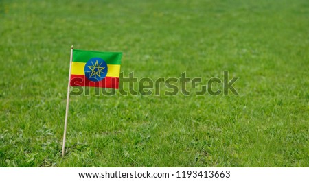 Flag. Photo of flag on a green grass lawn background. National flag waving outdoors.