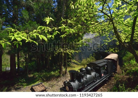 31st, the black front of the steam train, braved white smoke, driving in the verdant forest winding track.