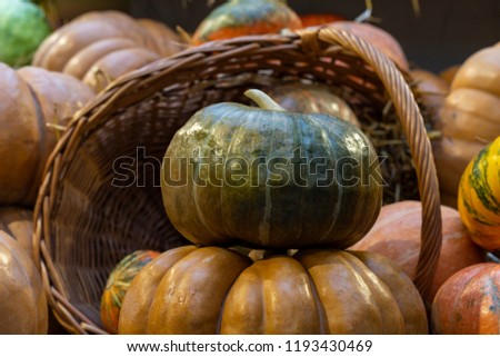 Autumnal harvest pumpkins and vegetables with hay