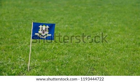 Connecticut flag. Photo of Connecticut state flag on a green grass lawn background. Close up of the flag waving outdoors.
