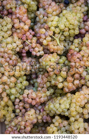 Green and pink grape texture