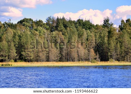Photo of beautiful lake in the green forest in early autumn