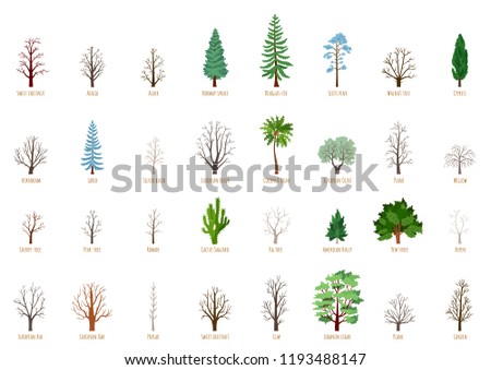The collection of winter trees isolated on white background. Big Vector cartoon set with sapling for forest landscape. Environment elements in flat style