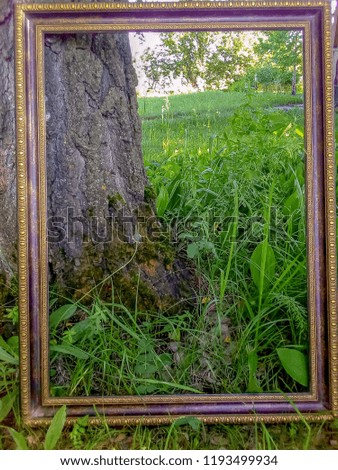 Frame for a picture in nature. Creative background. Grass